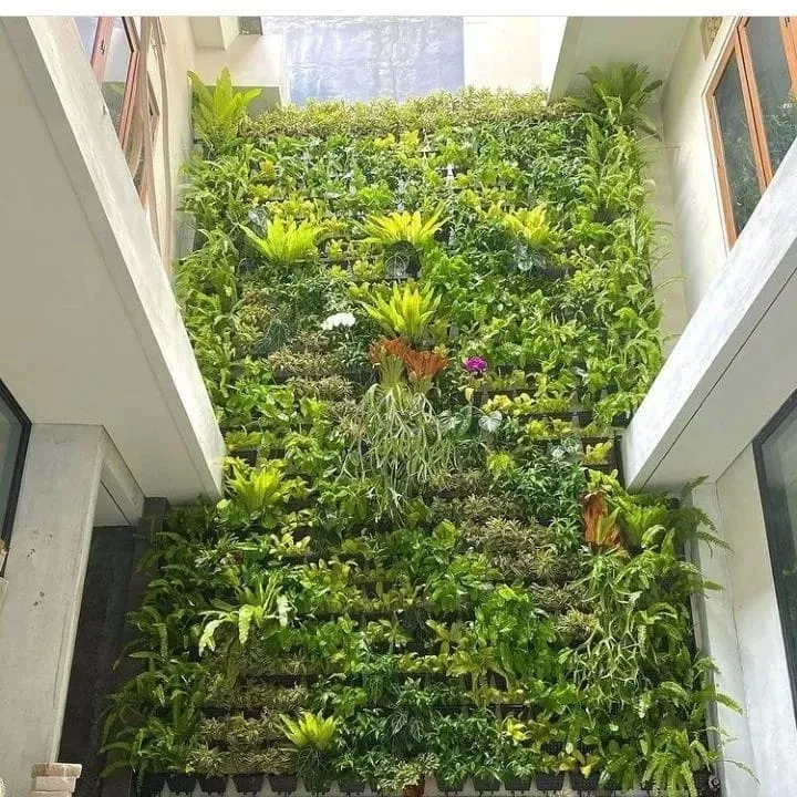 Jasa Tukang Taman Vertical Garden di Pancoran Jaksel